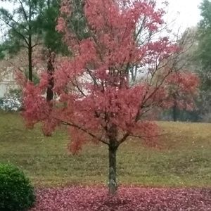 Meet your Posher, Gabrielle